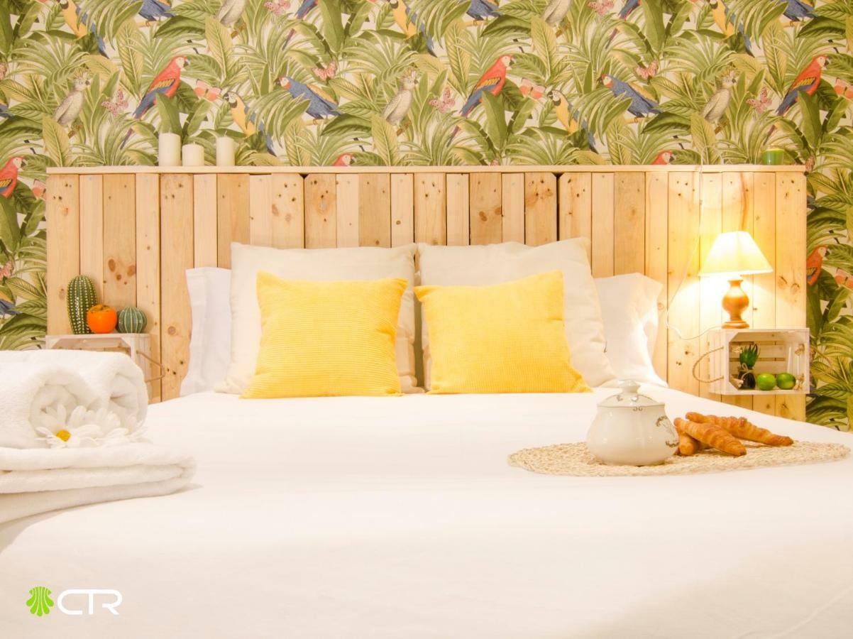Coqueto & Confortable Apartamento Daire Santiago de Compostela Dış mekan fotoğraf